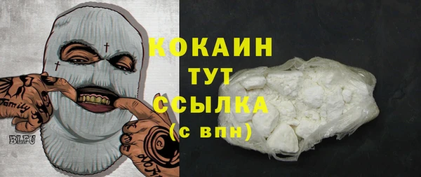крисы Медвежьегорск