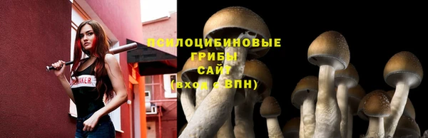 крисы Медвежьегорск