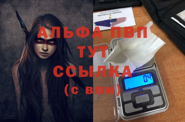 крисы Медвежьегорск